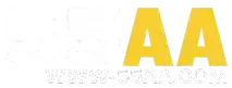 55aa-logo
